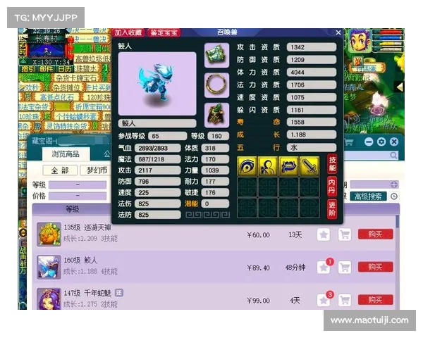 梦幻西游飞升新手攻略全解析快速提升技巧与注意事项 梦幻西游飞升新手攻略全解析快速提升技巧与注意事项