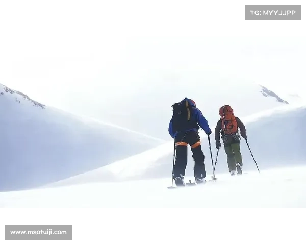 走出舒适区勇闯未知世界踏上探索人生无限可能的新旅程 走出舒适区勇闯未知世界踏上探索人生无限可能的新旅程