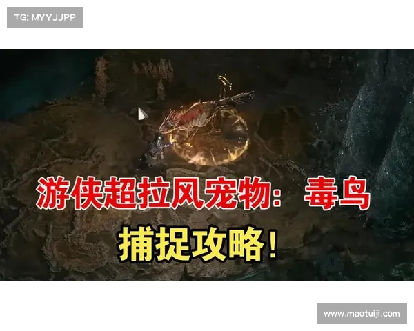 游侠宠物捕捉技巧全面解析助你轻松抓捕稀有宠物攻略 游侠宠物捕捉技巧全面解析助你轻松抓捕稀有宠物攻略