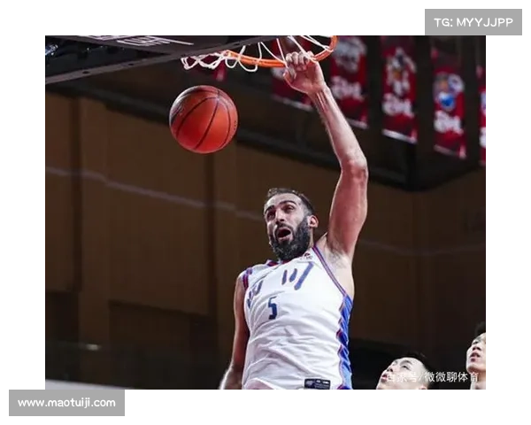 哈达迪不退役背后的坚持与奋斗精神揭秘