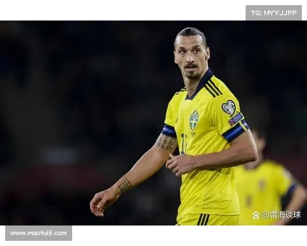 2023年法国与波兰激战精彩瞬间回顾 关键时刻与绝妙进球盘点