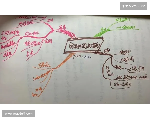 全面掌握如何高效查找澳洲杯开赛时间的实用步骤指南详细解读方法