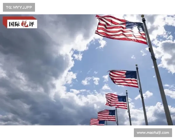 探析法甲冠军标志的历史传承文化底蕴与象征价值深度意义解读全景